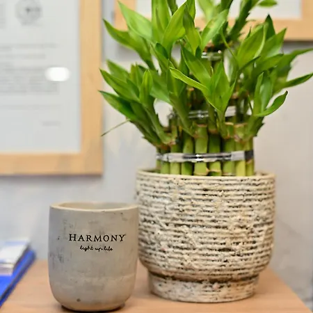 Industrial Jovana Odzaci